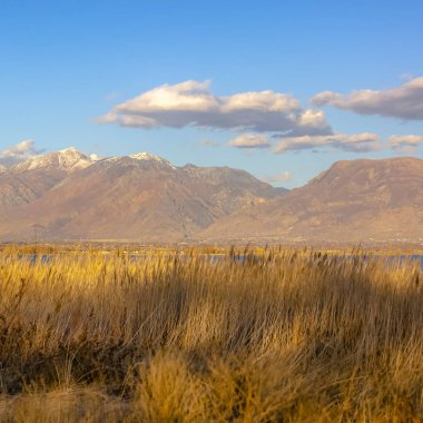Kare çerçeve Güneşli bir günde canlı gökyüzünü yansıtan bir gölün kıyısında yemyeşil otlar