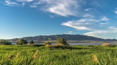Güneşli bir günde bulutlu mavi gökyüzü ile bir gölün ön planda Panorama Grasses