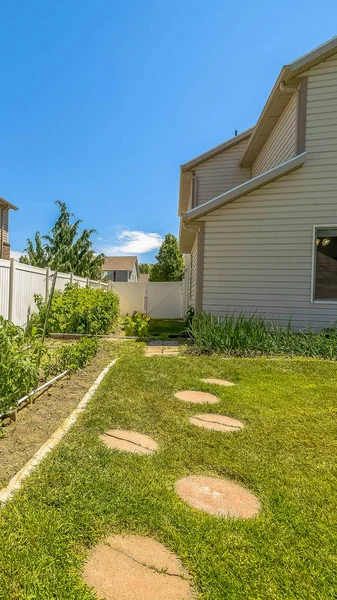 Vertical Plantes et herbes vibrantes dans la cour arrière d'une maison avec mur blanc et clôture — Photo