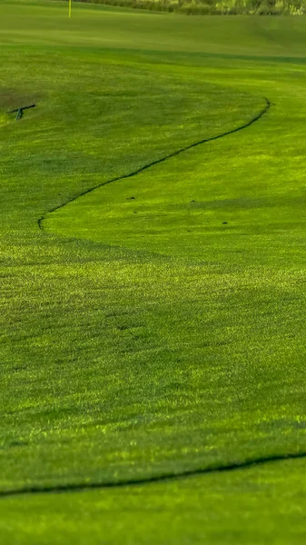 Cadru vertical Închideți calea verde vibrantă a unui teren de golf privit într-o zi însorită — Fotografie, imagine de stoc