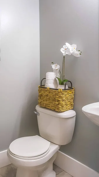 Vertikal Lovely hem badrum inredning dekorerad med blommor växter och målning — Stockfoto