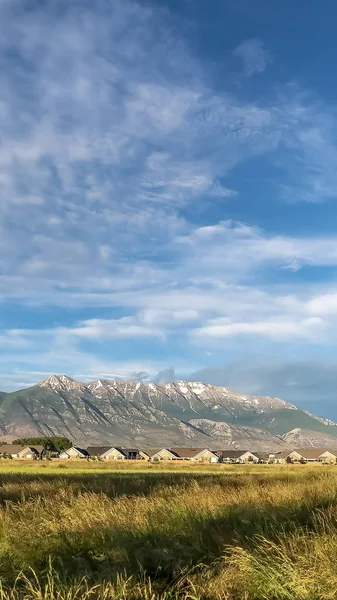 Κάθετη γραφική θέα στη φύση με καταπράσινα σπίτια με γρασίδι και επιβλητικό χιονισμένο βουνό — Φωτογραφία Αρχείου