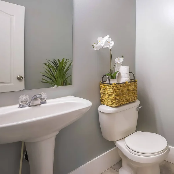 Square Lovely home bathroom interior decorated with flowers plants and painting — Stock Photo, Image