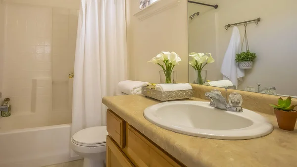 Panorama przytulny dom łazienka wnętrze ozdobione bujnych zielonych roślin i białych kwiatów — Zdjęcie stockowe