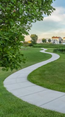 Bulutlar ile mavi gökyüzü altında yeşil otlar la kaplı bir parkta Dikey çerçeve Pathway ve gölet