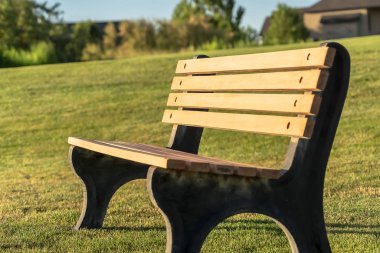 Güneşli bir günde çimenli bir tepede boş bir açık park bankının yakından görünümü