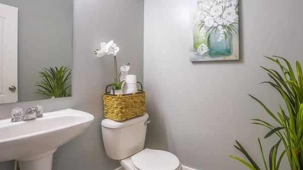 Красивый интерьер ванной комнаты украшен цветами растений и живописи — стоковое фото