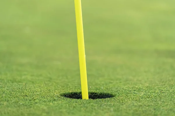 Закройте вид на желтую булавку и чашку поля для гольфа в солнечный день — стоковое фото