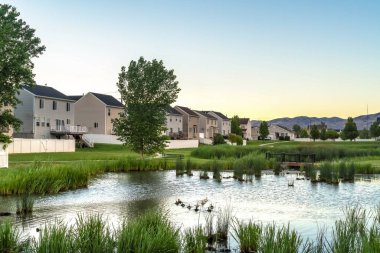 Arka planda evleri olan çimenli bir tarlanın ortasındaki parlak göletli doğa manzarası.