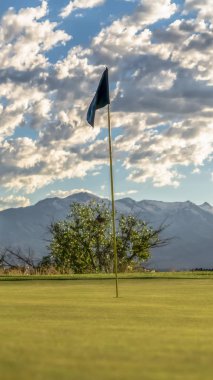 Dikey çerçeve ağaçlara ve bulutlu gökyüzüne karşı bir golf sahasının bayrak direğine odaklan