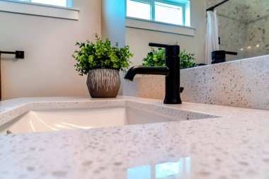 Lavabonun altında siyah musluk ve tezgahın üstünde saksı bitkisi var.