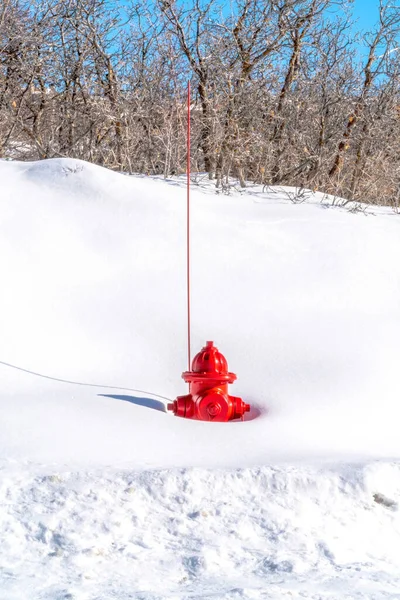 Красный пожарный гидрант на заснеженной горе в Парк-Сити Юта зимой — стоковое фото