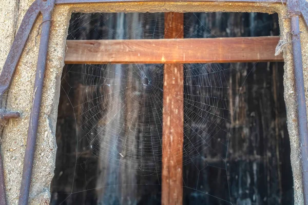 Класична кругла форма павука клин на отворі старої бетонної стіни — стокове фото