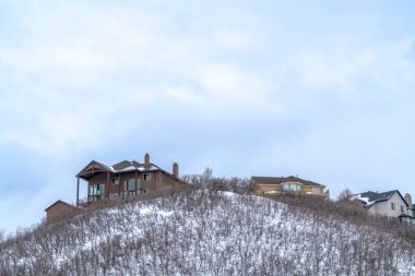 Kışın karlı yamaçlarda kahverengi yapraksız çalılarla bir tepenin zirvesinde evler