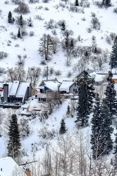 Park City mountain slope with houses amid fresh snow and evergreens in winter