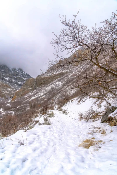 Nieve cubriendo la ladera rocosa de la montaña Provo Canyon durante el invierno en Utah — Foto de Stock