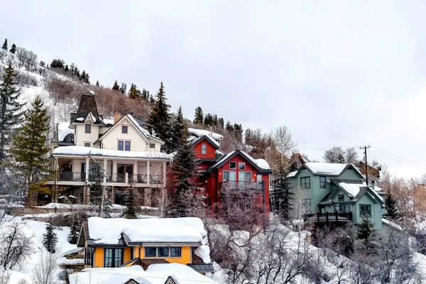 Nieve cubierta colina iluminada por coloridos hogares y exuberantes siempreverdes en invierno — Foto de Stock