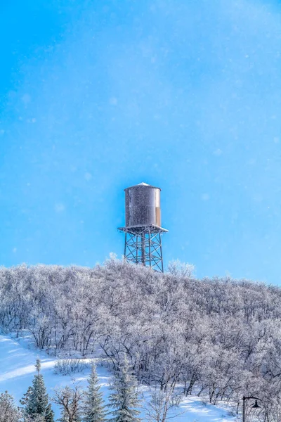 Tanque de agua que se eleva sobre los árboles helados en la nevada montaña Wasatch en invierno —  Fotos de Stock