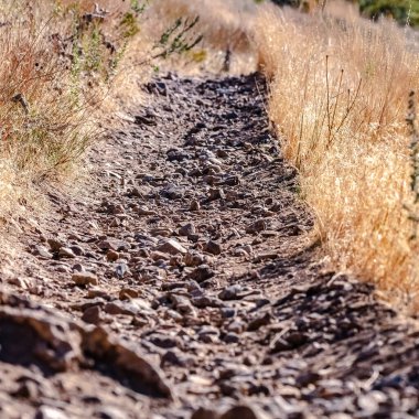 Kare çerçeve Çakıl yolu ya da kuru çimenler arasında yürüyüş yolu