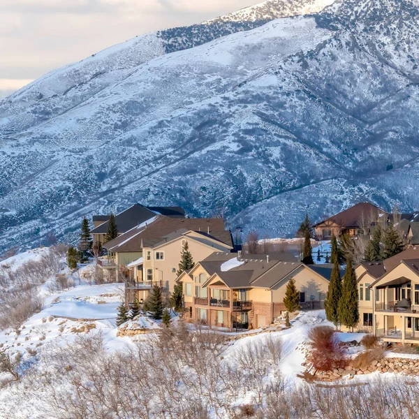 Cultures carrées Maisons nichées au milieu de Wasatch immaculée Vue sur la montagne recouverte de neige en hiver — Photo