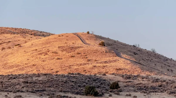 Panorama The hill with dry bushes day light — Stock Photo, Image