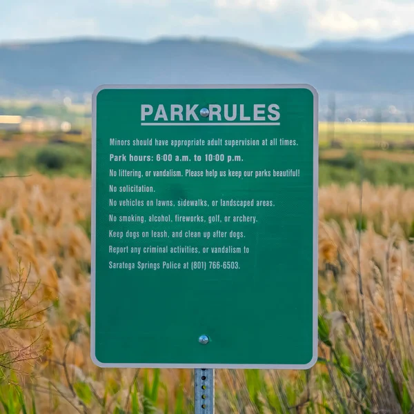Tablero de letreros verde cuadrado con reglas del parque contra exuberantes hierbas altas en un vasto terreno —  Fotos de Stock