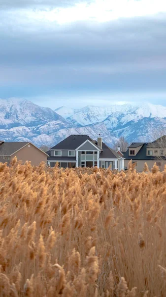 Cadre vertical Maisons et montagne enneigée ensoleillée en hiver avec des herbes floues au premier plan — Photo