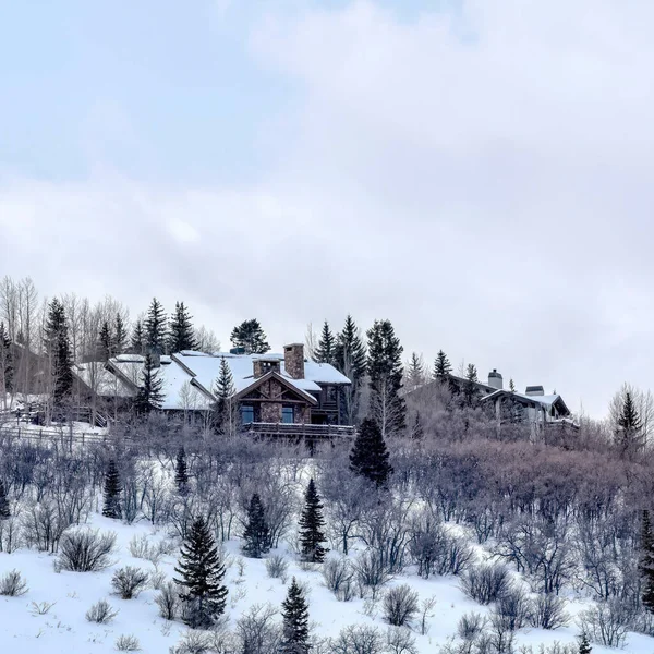 Square Park City Home auf einem schneebedeckten Berg mit blattlosen Bäumen und Evergreens — Stockfoto
