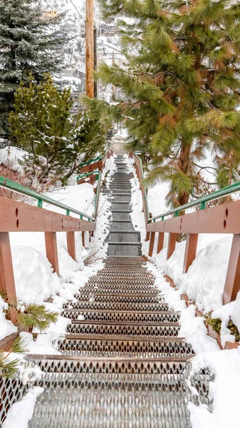 Quadro vertical Escadaria na colina com vista para os telhados casas e árvores com neve fresca no inverno — Fotografia de Stock