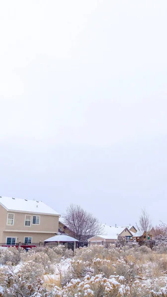 Marco vertical Escarchado paisaje de barrio con casas y plantas cubiertas con nieve de invierno —  Fotos de Stock