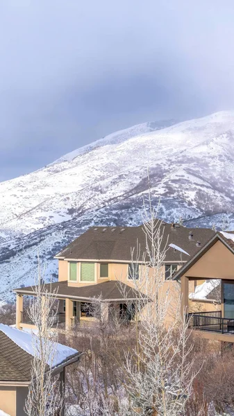 Quadro vertical Casas de montanha bonitas e encosta coberta de neve de Montanhas Wasatch no inverno — Fotografia de Stock