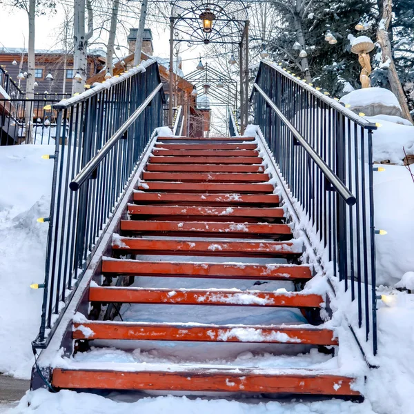 Cultivo cuadrado Escaleras contra la pendiente cubierta de nieve con casas y árboles bajo el cielo nublado de invierno — Foto de Stock