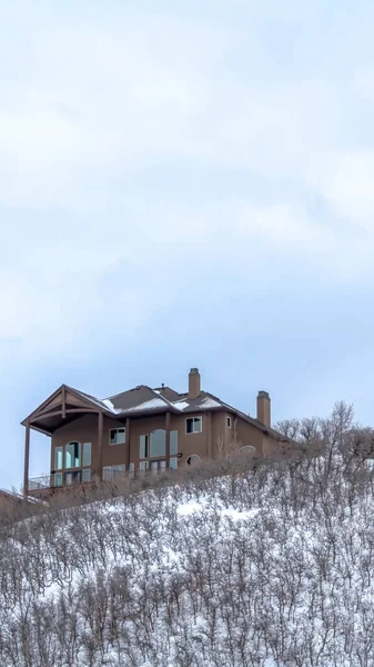 Вертикальные дома на вершине холма с коричневыми кустами без листьев на снежном склоне зимой — стоковое фото