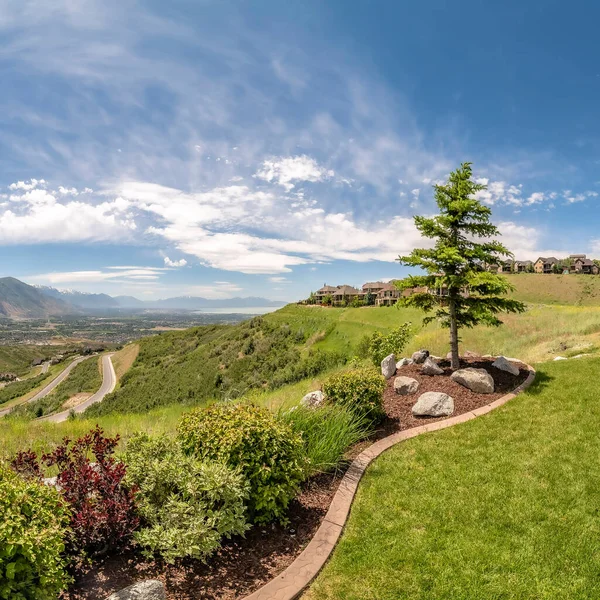 Panorama quadrado do quintal de casa com gramado paisagístico e plantas exuberantes — Fotografia de Stock