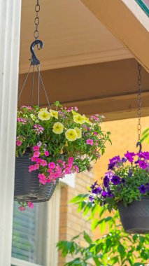 Sevimli bir evin verandasında zincirlenmiş dikey renkli saksı çiçekleri.