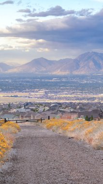 Yaban çiçekli dikey çakıl yolu, Utah ABD gündüz ışığı