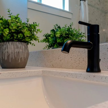 Banyonun altındaki lavabonun üzerinde, tezgahın üstünde saksı bitkisi olan siyah bir musluk.