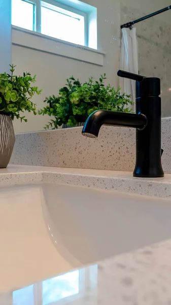 Grifo negro vertical sobre lavabo del cuarto de baño del undermount con la planta en maceta en la encimera — Foto de Stock