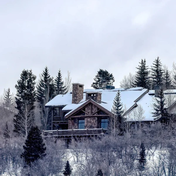 Cultivo cuadrado Park City casa en la montaña cubierta de nieve con árboles sin hojas y árboles siempreverdes — Foto de Stock
