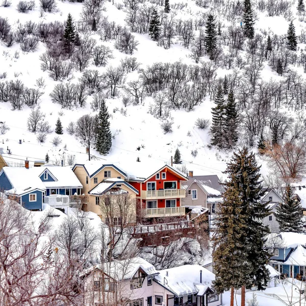 Marco cuadrado Casas familiares coloridas contra la pendiente de la colina con coníferas y nieve gruesa en invierno — Foto de Stock
