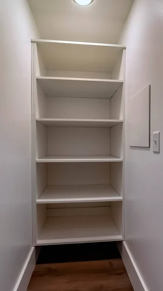 Marco vertical Walk in closet o despensa con estantes de pared vacíos vistos a través de la puerta abierta con bisagras —  Fotos de Stock