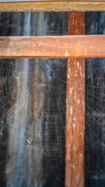 Verticaal frame Klassiek cirkelvormig spinnetje op de opening van een oude betonnen muur — Stockfoto