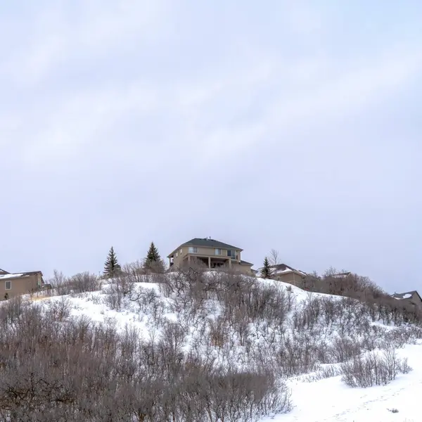 Площадь урожая Холм с домами и лиственные кусты на его нежный склон со снегом в зимний период — стоковое фото