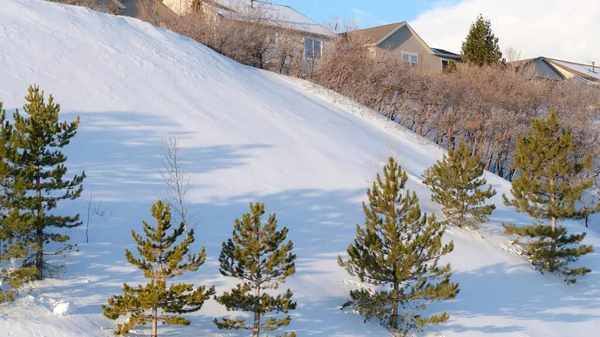Πανόραμα Νεαρά πεύκα και σπίτια σε χιονισμένη πλαγιά των βουνών Wasatch — Φωτογραφία Αρχείου