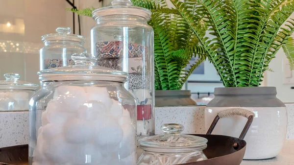 Panorama Plant and tray with jars of soap cotton balls and buds on bathroom countertop