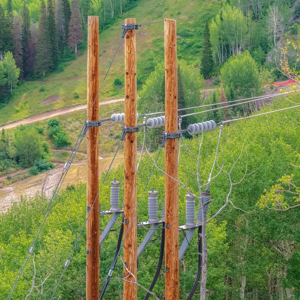 Square Cable wires of chairlifts in Park City resort against lush green trees in summer — Stock Photo, Image