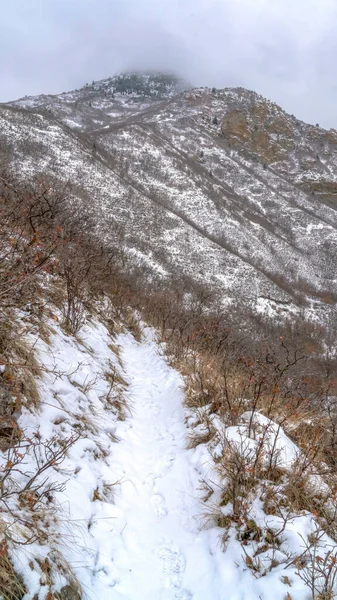 Coltivazione verticale Paesaggio montano innevato del Provo Canyon nello Utah durante la stagione invernale — Foto Stock