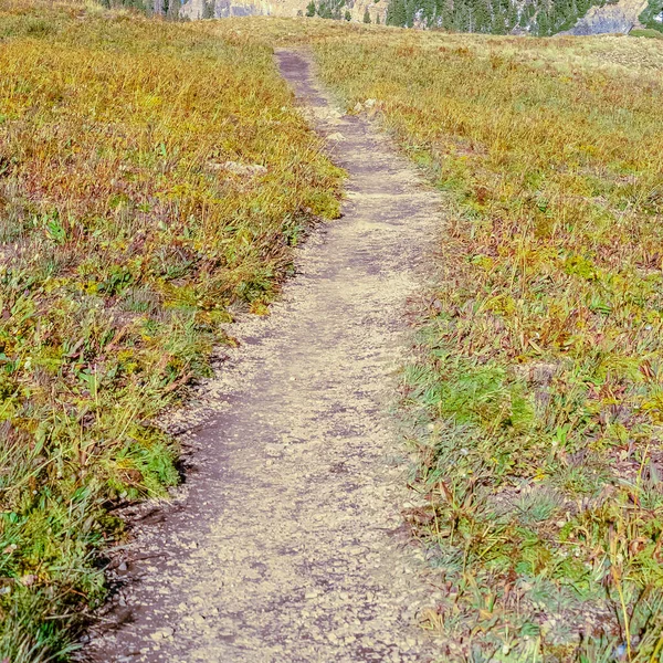 Square frame Hiking Trail on Mount Timpanogos, Utah day light — стокове фото