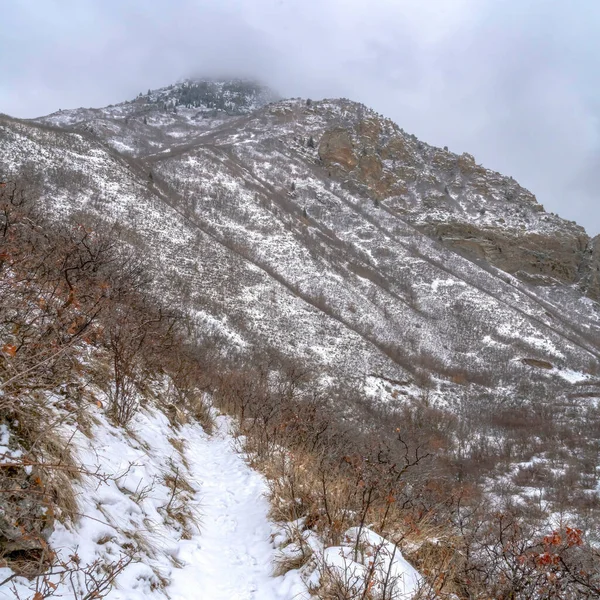 Снег осыпал горные пейзажи каньона Прово в Юте в зимний сезон — стоковое фото