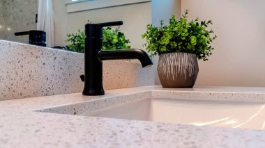 Panorama Undermount banyo lavabosu, siyah musluk ve tezgahta saksı bitkisi.